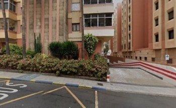 Punto Nickel - BAZAR SWEET PANDA