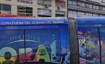 Punto Nickel - ATÍPICOS