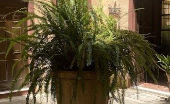 ATM cajero automático