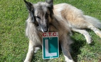 Centro Técnico de Conductores