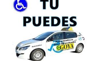 Autoescuela Goya - Silvano Mota - Permiso Por Puntos