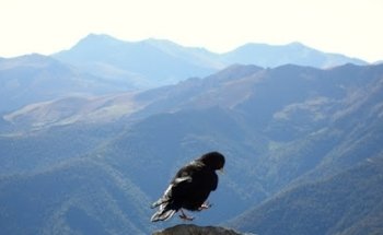 Autoescuela EuroPaterna