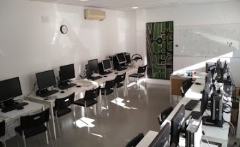 Autoescuela BertoLin PUNTOS