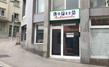 Auto Escuela Lopesa S L