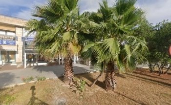 AUTOESCUELA CAVALERI