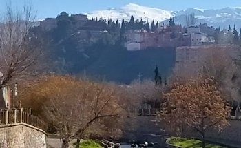 Autoescuela Puente Verde