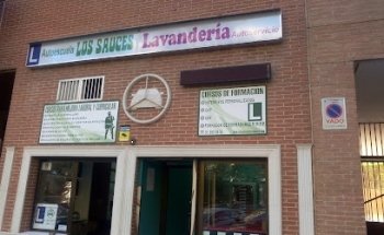 AUTOESCUELA LOS SAUCES