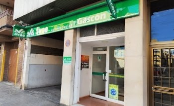 Avae Autoescuelas Gascon