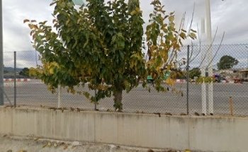 Pista Prácticas Autoescuela San Nicolás