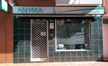 Autoescuela 5ª Avenida