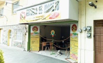 escuelas de conduccion boston