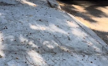 Academia de manejo Liberty