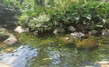 CEAUTO, centro de enseñanza automovilístico