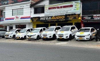 INSTITUTO VIAL DE CONDUCCION