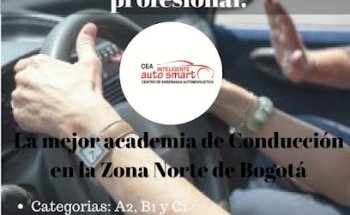 CEA AUTO SMART SAS