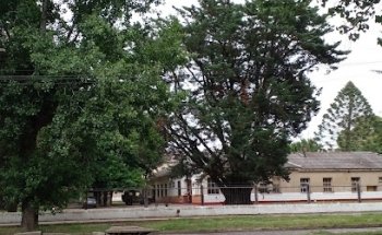 Guarnición Ejército Azul