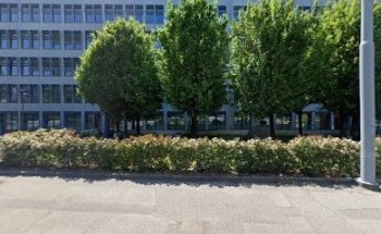 Service Reintegration Business