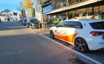 Driving School Gecko Janine Nussbaumer