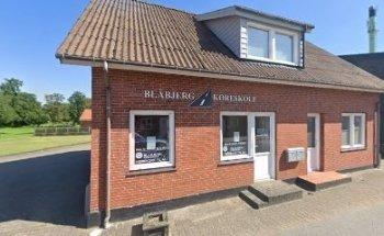 Blåbjerg Køreskole ApS