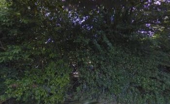 Doyle Driver Training