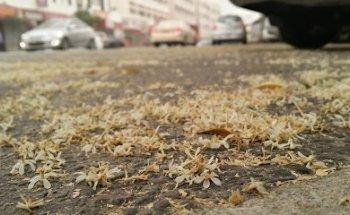 Dubai Driving Centre Karama2