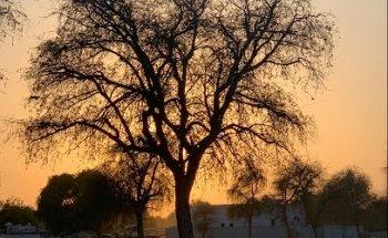 Al Bustan Motor Driving School