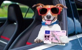 Haapajärven Liikennekoulu Oy