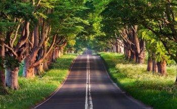 Hornsby Driving School悉尼北区华人驾校，助您路考一次过