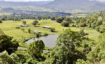 Professional Driving Consultancy