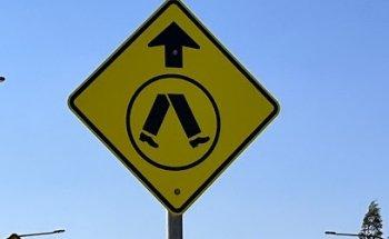 Road Star Drive School