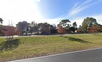 Amy's driving school