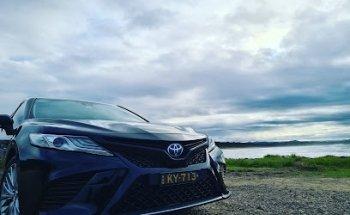 Sitting Pretty Driver Training