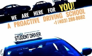 A Proactive Driving School