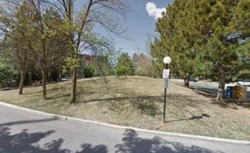 Optimum Drivers Academy