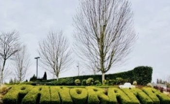 Panorama Driving School Ltd.