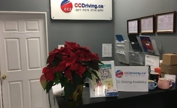CCDriving 加中驾校 中国驾照翻译认证