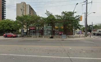 Royal Driving Techniquess