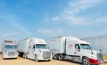 Shark driving Academy Ltd.