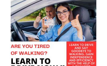 Virtue Driving School