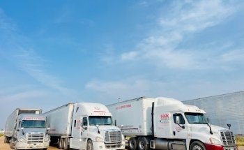 Shark Driving Academy YARD