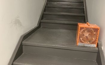 Bruno Driving School