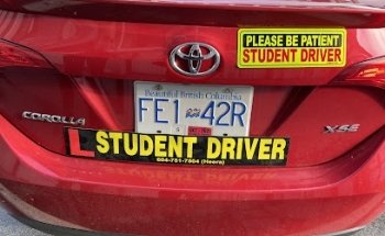 Tiger Driving School