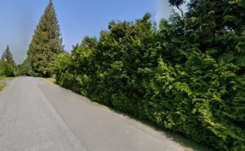 Mission Driving School