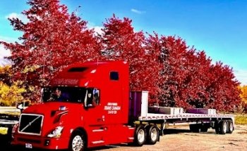 Ecole De Conduite Trans Canada Driving School Ville St Laurent