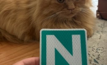 New Day Driving School