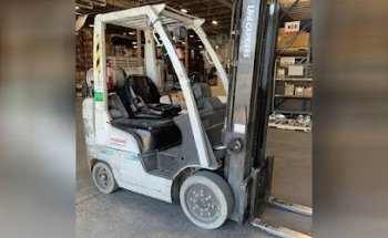 Steedy Forklift Training