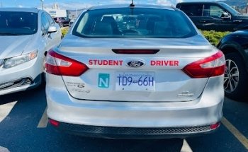 Big Bird Driving School