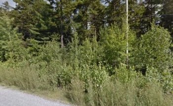 Crozier's Driving School