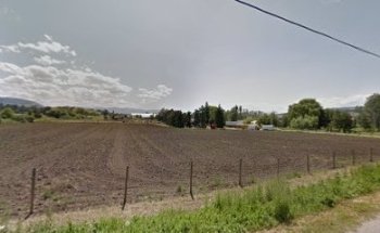 White Line Professional Driving School Inc.