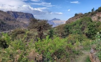 American Safety Institute